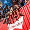 Budweiser